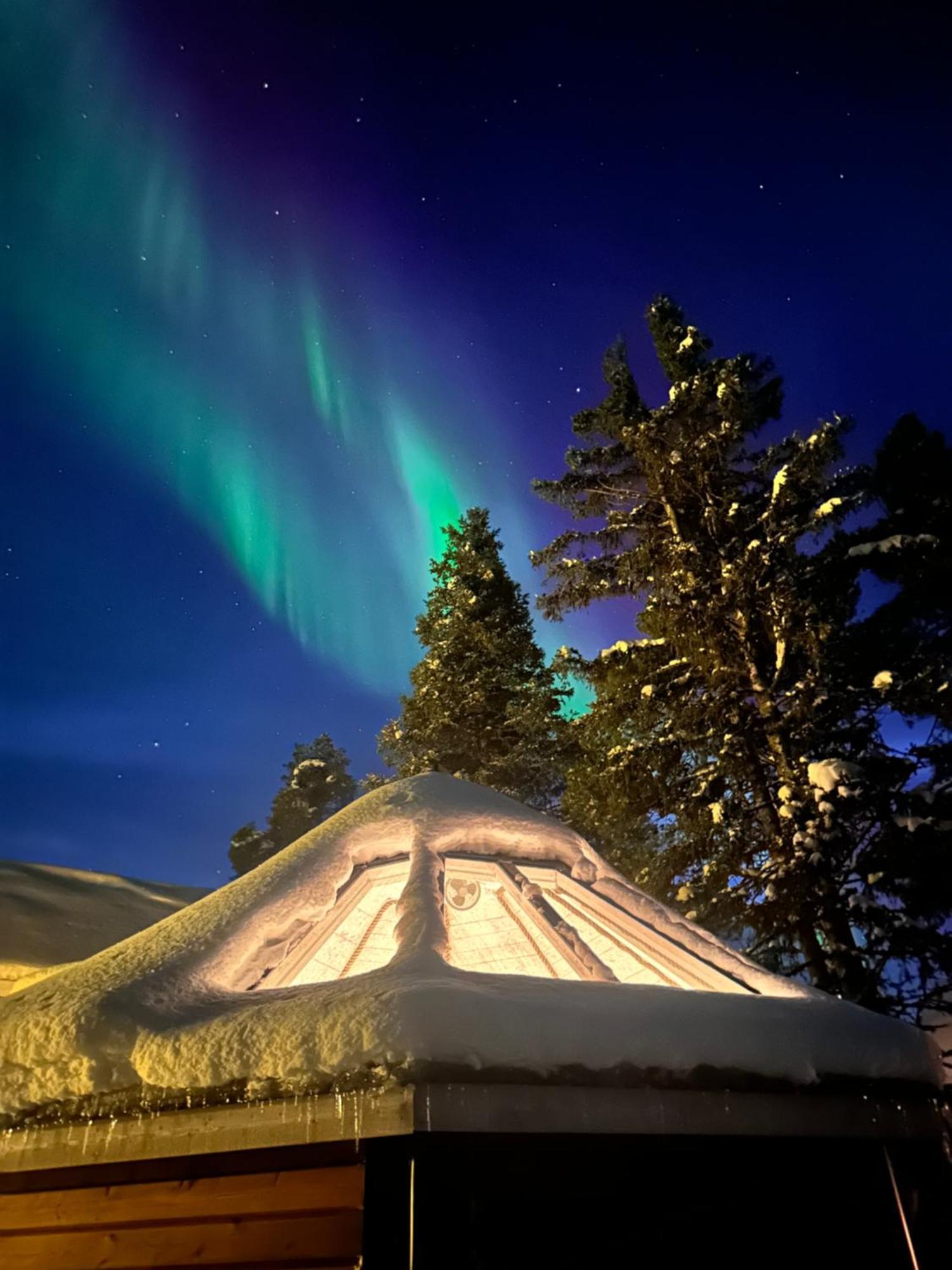 Northernlight 2